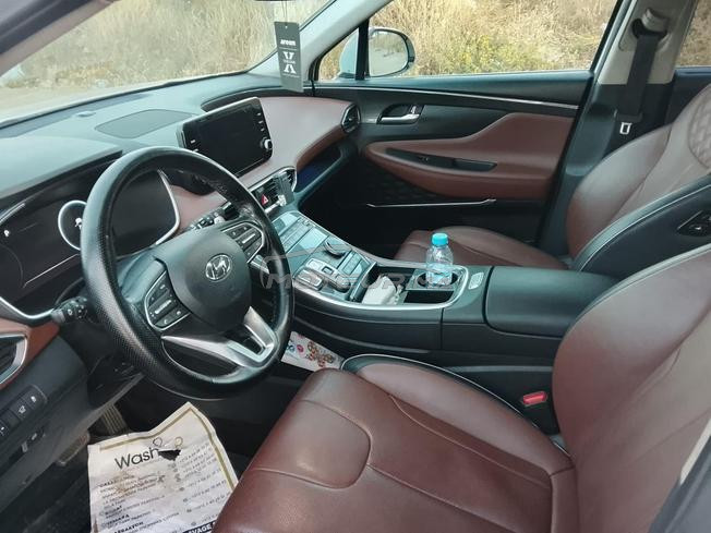 hyundai santafe tt opts