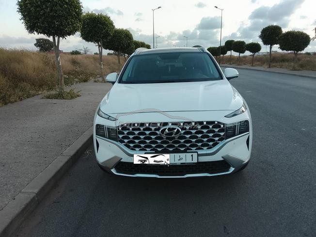 hyundai santafe tt opts