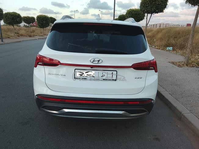 hyundai santafe tt opts