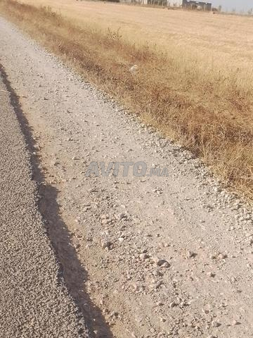 5000 متر ونصف محفظة نواحي تيفلت على الطريق - 2