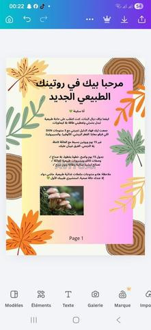 Livre PDF Routine 15 jours DXN 29dh - 2