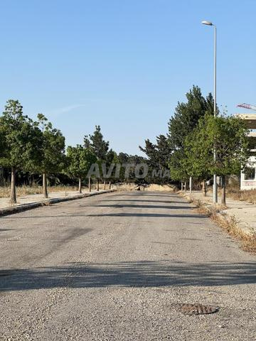 Showroom Route Rabat-Tanger zone industrielle - 2