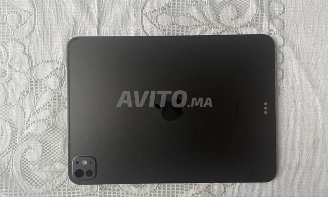 iPad M4 Apple Pencil cover original - 2