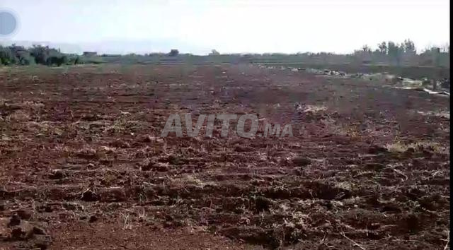 أرض فلاحية للبيع مساحتها 6000 متر مربع - 2