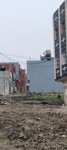 أرض بها أساس للبيع العوامة - 2