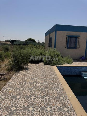 Ferme 3100 m avec maison et piscine - 2