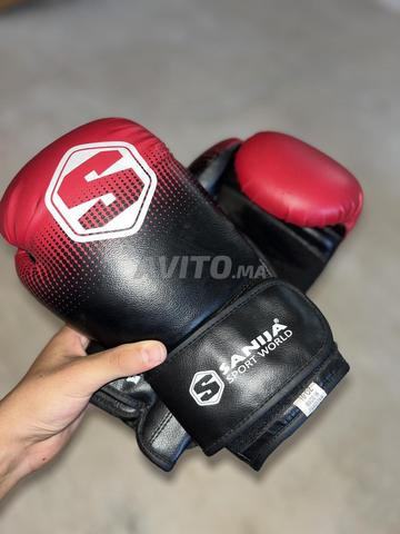 🥊 قفازات ملاكمة SANJA Sport World 10 OZ