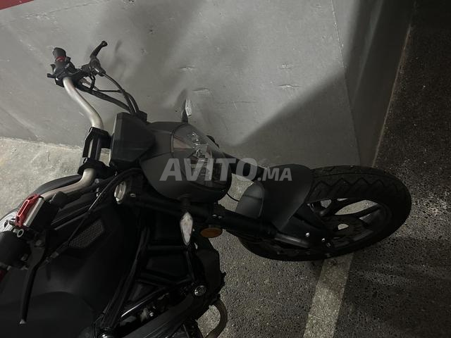 Cimatti monster - 2