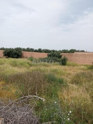 Terrain à louer