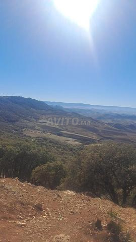 بيع قطعة أرض لبناء فيلا - 2