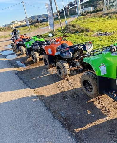 Agence de location de quad à vendre - 2