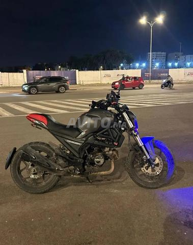 Moto Cimatti - 2
