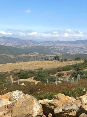 Douar Beni Msoud, Nweinesh Tanger - 2