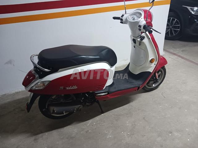Sym Fiddle 3 49cc - 2