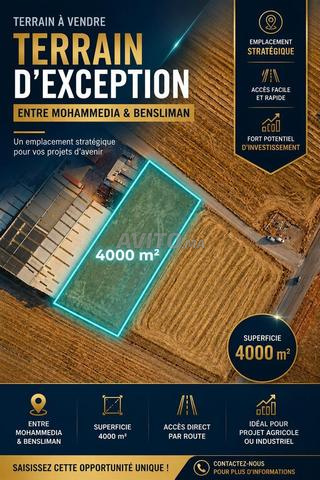 Terrain à vendre entre Mohammedia et Benslimane
