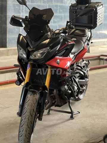 Tracer 900 Gt - 2