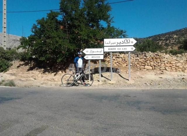 Tiran Titré à vendre à Alma Aourir