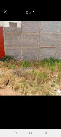 Terrain - 2