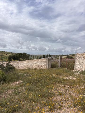 Terrain à vendre IDAOUGUERD 554 m² - أرض للبيع أكرد - 2
