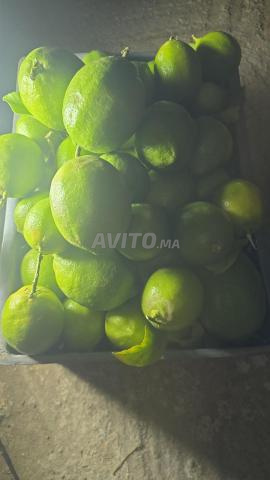 Citron "Quatre Saisons" Super - 2