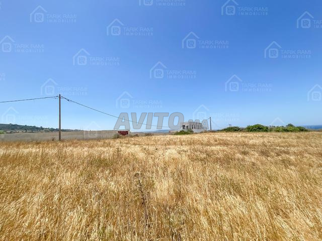 Terrain titré 32724m² avec vue mer à Talaa Kraa - 2