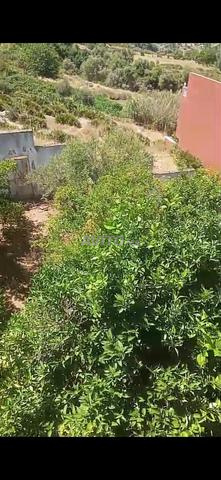 مدخل شفشاون كراج طابقين - 2