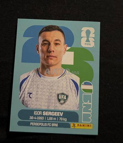 cartes panini - 2