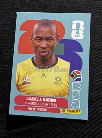 cartes panini - 2