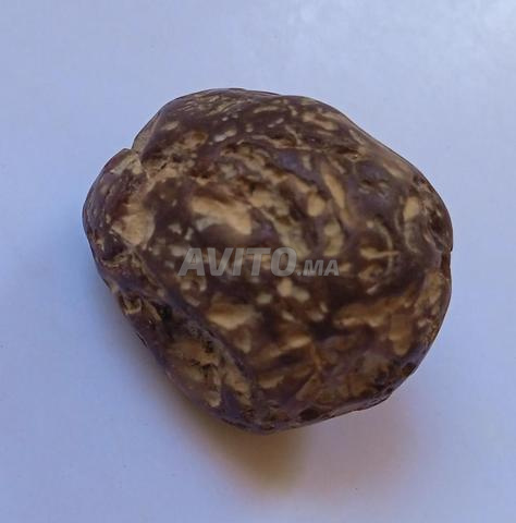 Météorite rare - 2