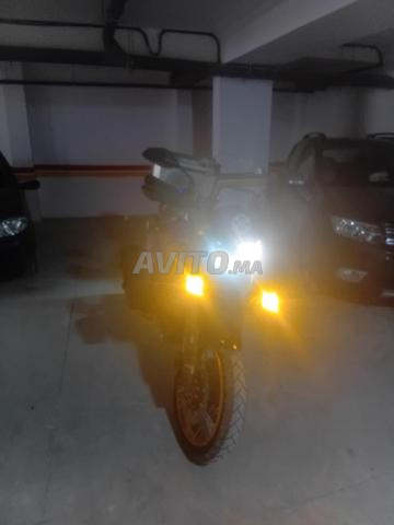 Benelli 502 X - 2
