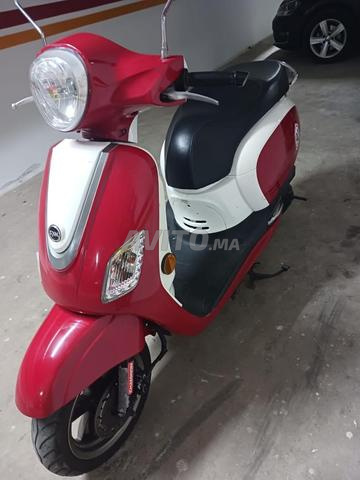 Sym Fiddle 3 49cc - 2
