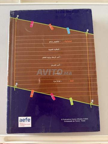 العربية في الرابعة - AEFE - 2