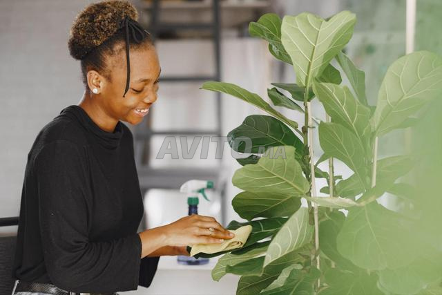 Nounou africaine ménage cuisine repassage aide
