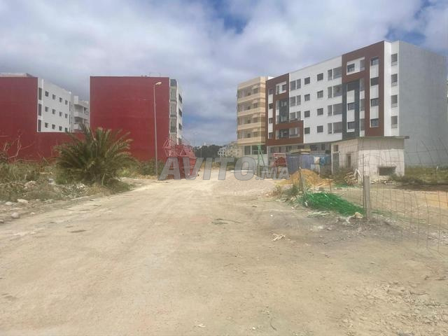 Terrains zone immeuble 600 m² Boukhalf - 2
