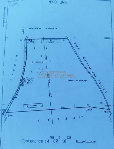 Ferme agricole plus villa de plus de 200m² - 2