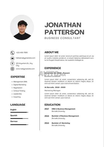 CV Professionnel avec photo Pro - 2