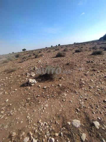 Douar Tekad Sidi Bibi - 2