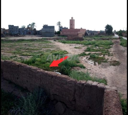 أرض صالحة للبناء