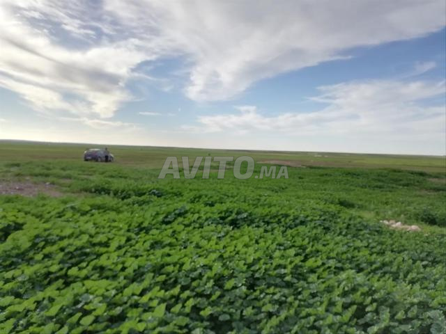 VENTE TERRE AGRICOLE - 2