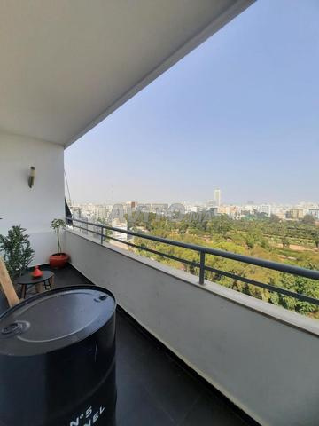 Studio meublé avec vue sur le grand parc - 2
