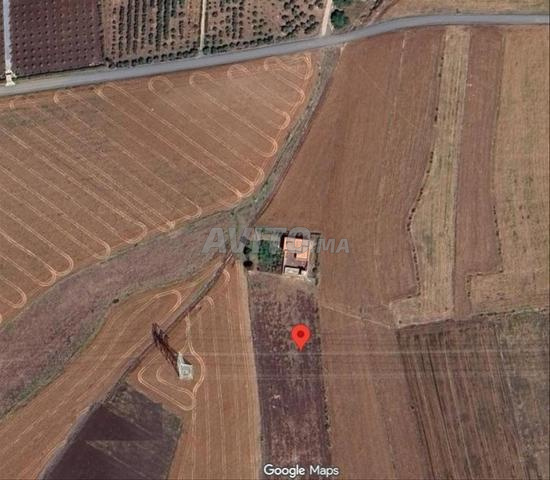 FERME AVEC TERRAIN A VENDRE - 2