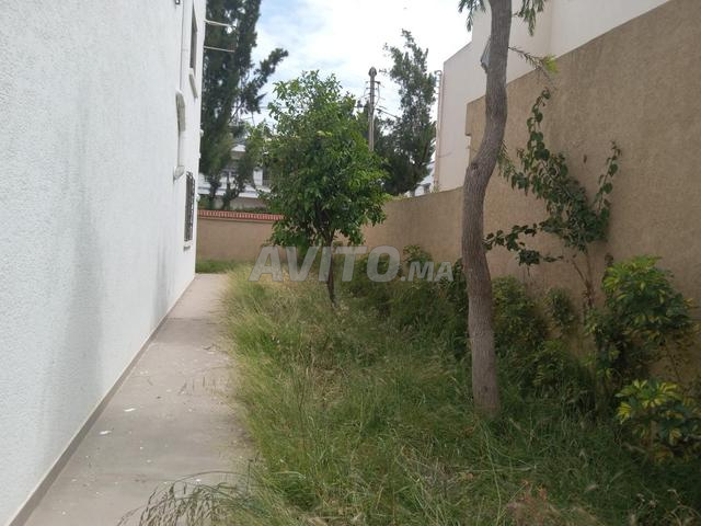 Villa à vendre 490 m² à Polo - 2