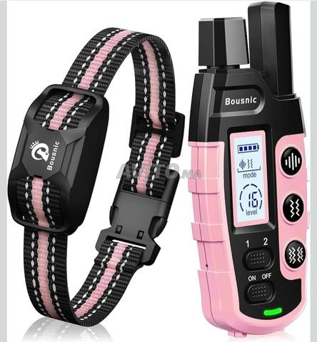 collier de dressage pour chien