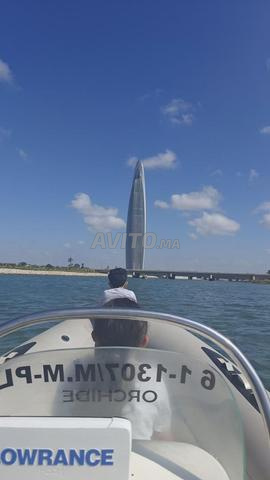 Silver Marine Captain 480B avec moteur Mercury 50
