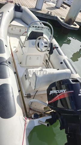 Silver Marine Captain 480B avec moteur Mercury 50