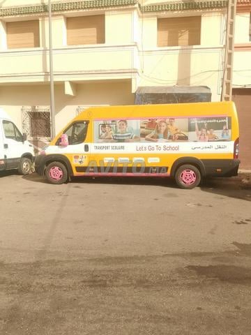 Transport scolaire Fiat Ducato 2011