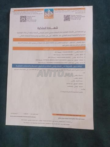 شارع أبي هريرة بن مسيك - 2