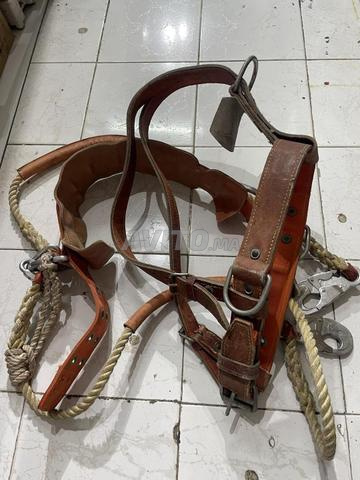 Harnais de sécurité professionnel - 2
