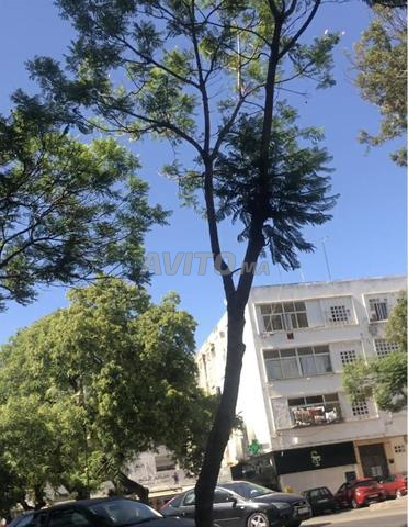 محل بموقع ممتاز جداً في مابيلا - 2