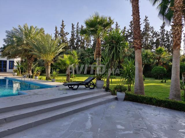 Sublime villa pour vacances - 2
